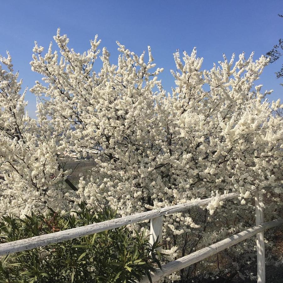 Relais Il Pigno Guest House Affi Bagian luar foto