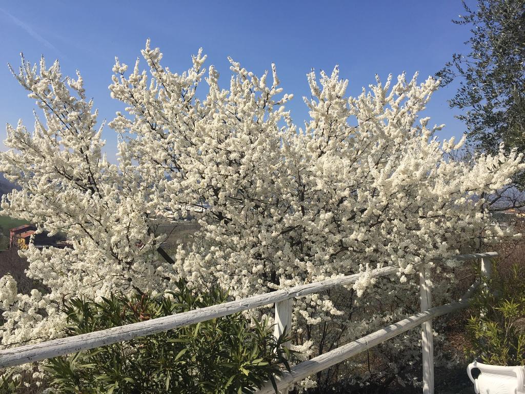 Relais Il Pigno Guest House Affi Bagian luar foto